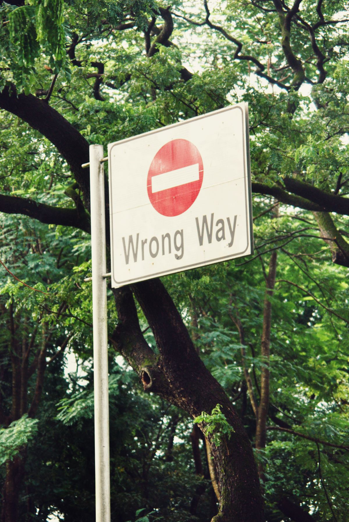 A 'Wrong Way' traffic sign amidst green trees, representing a build path pointing somewhere your static assets never actually shipped to